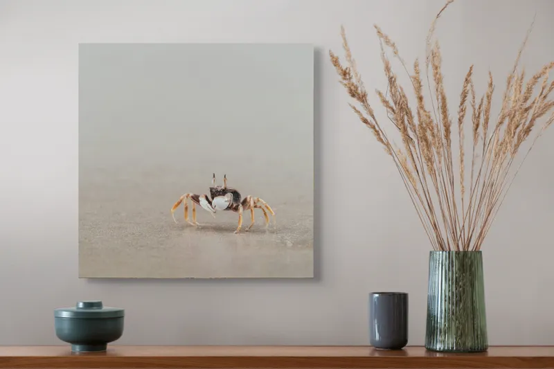 Tablou Canvas, "Mic explorator pe nisipul umed", Crab, Sand, Beach, Calm, Solitude, Reflection, Minimalism, Nature, Tranquility, Softness, 50 x 50 cm – poza 4