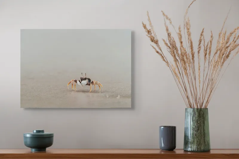 Tablou Canvas, "Mic explorator pe nisipul umed", Crab, Sand, Beach, Calm, Solitude, Reflection, Minimalism, Nature, Tranquility, Softness, 54 x 39 cm – poza 4