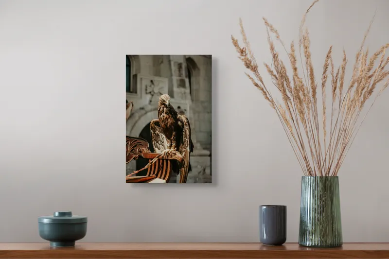 Tablou Canvas, "Vulturul paznic al cetății regale", Vultur, Impunător, Majestuos, Pradator, Elegant, Siluetă, Stăpânitor, Fundal, Natural, Sculptural, 26 x 39 cm – poza 5