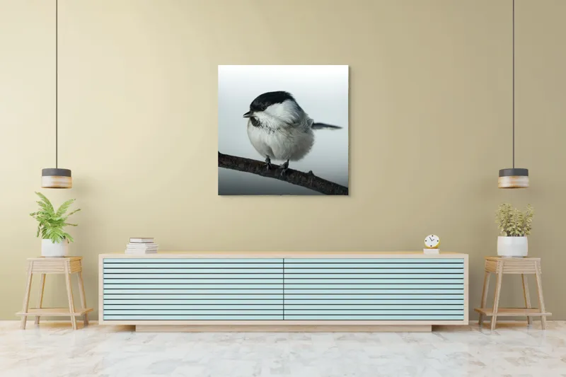 Tablou Canvas, "Micuța pasăre pe crenguță subțire", Păsărică, Ramură, Cer, Natură, Blăniță, Delicatețe, Încântare, Contrast, Panoramă, Seninătate, 100 x 100 cm – poza 5