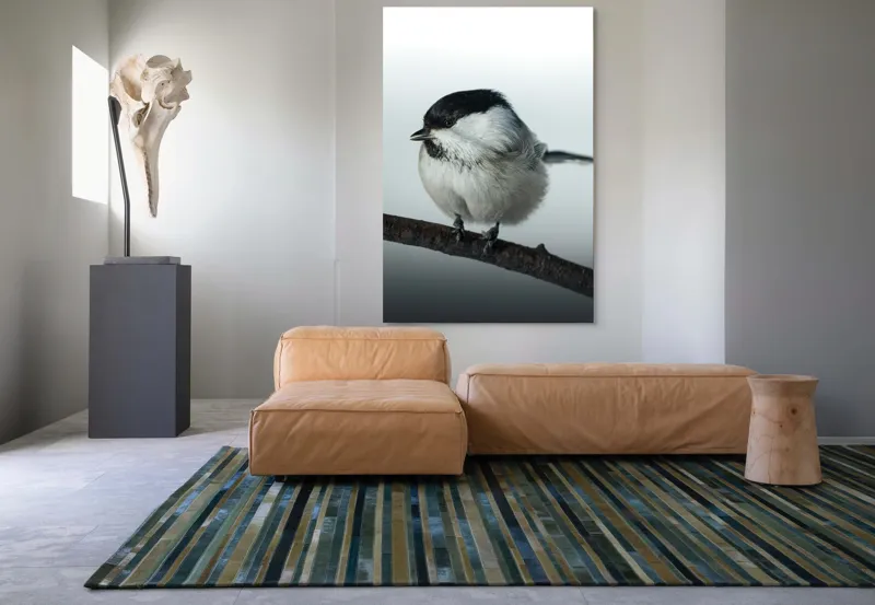 Tablou Canvas, "Micuța pasăre pe crenguță subțire", Păsărică, Ramură, Cer, Natură, Blăniță, Delicatețe, Încântare, Contrast, Panoramă, Seninătate, 100 x 150 cm – poza 7