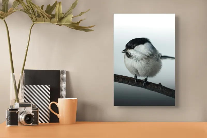 Tablou Canvas, "Micuța pasăre pe crenguță subțire", Păsărică, Ramură, Cer, Natură, Blăniță, Delicatețe, Încântare, Contrast, Panoramă, Seninătate, 26 x 39 cm – poza 3