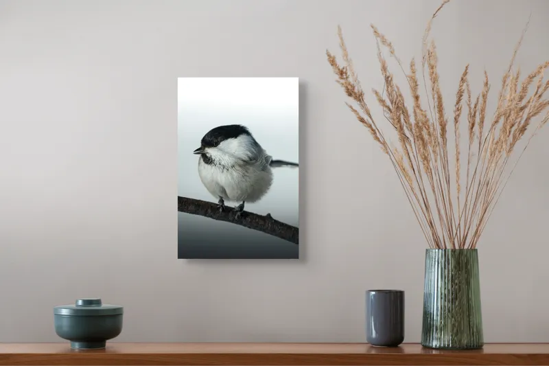 Tablou Canvas, "Micuța pasăre pe crenguță subțire", Păsărică, Ramură, Cer, Natură, Blăniță, Delicatețe, Încântare, Contrast, Panoramă, Seninătate, 26 x 39 cm – poza 5
