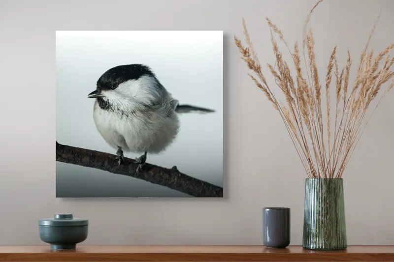 Tablou Canvas, "Micuța pasăre pe crenguță subțire", Păsărică, Ramură, Cer, Natură, Blăniță, Delicatețe, Încântare, Contrast, Panoramă, Seninătate, 50 x 50 cm – poza 4