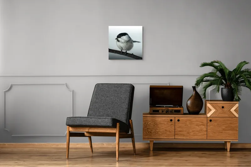 Tablou Canvas, "Micuța pasăre pe crenguță subțire", Păsărică, Ramură, Cer, Natură, Blăniță, Delicatețe, Încântare, Contrast, Panoramă, Seninătate, 50 x 50 cm – poza 6