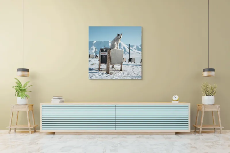 Tablou Canvas, "Câinele veghează ținutul înghețat", Iarnă, Câine, Gheață, Munți, Cer Albastru, Cușcă, Nisip Alb, Libertate, 100 x 100 cm – poza 5