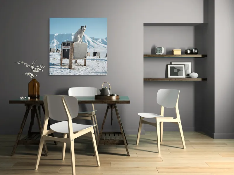 Tablou Canvas, "Câinele veghează ținutul înghețat", Iarnă, Câine, Gheață, Munți, Cer Albastru, Cușcă, Nisip Alb, Libertate, 100 x 100 cm – poza 6