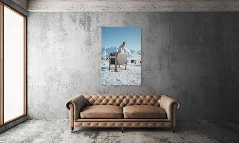 Tablou Canvas, "Câinele veghează ținutul înghețat", Iarnă, Câine, Gheață, Munți, Cer Albastru, Cușcă, Nisip Alb, Libertate, 100 x 150 cm – poza 6