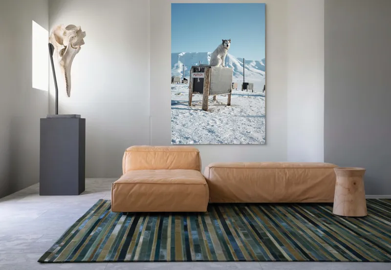 Tablou Canvas, "Câinele veghează ținutul înghețat", Iarnă, Câine, Gheață, Munți, Cer Albastru, Cușcă, Nisip Alb, Libertate, 100 x 150 cm – poza 7