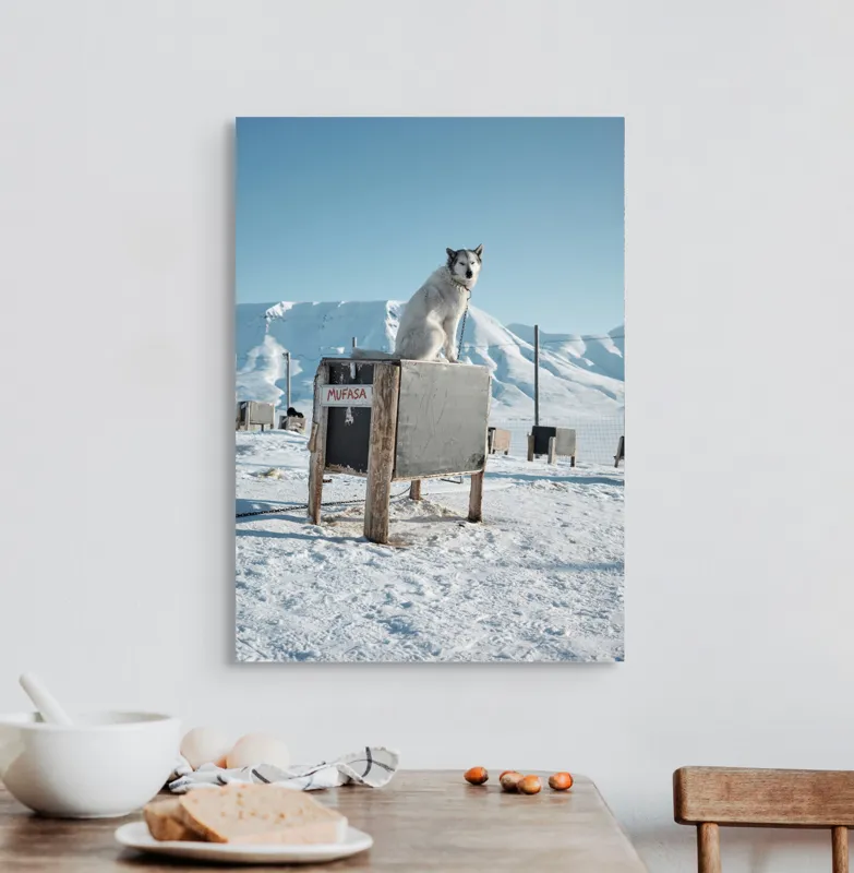 Tablou Canvas, "Câinele veghează ținutul înghețat", Iarnă, Câine, Gheață, Munți, Cer Albastru, Cușcă, Nisip Alb, Libertate, 50 x 70 cm – poza 3