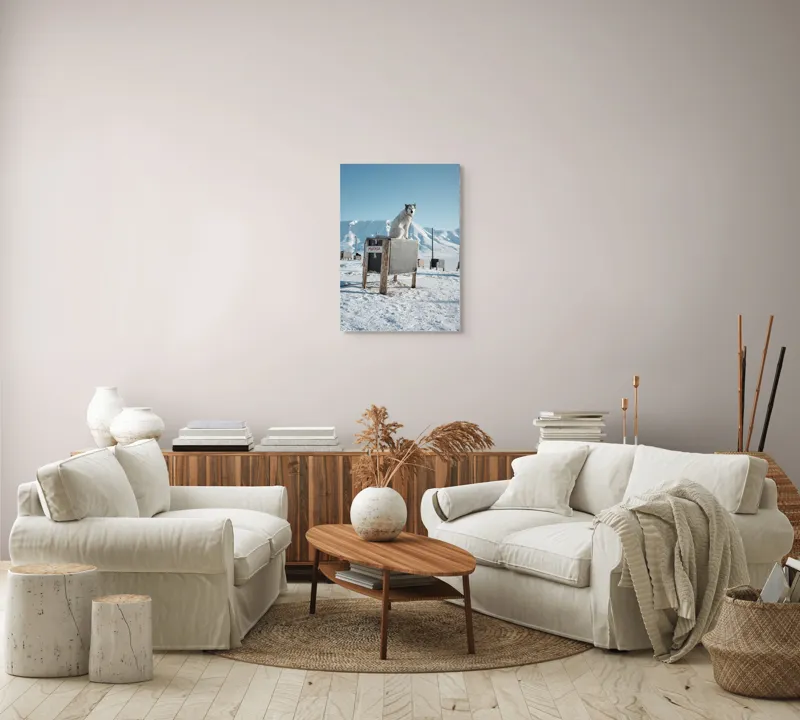 Tablou Canvas, "Câinele veghează ținutul înghețat", Iarnă, Câine, Gheață, Munți, Cer Albastru, Cușcă, Nisip Alb, Libertate, 50 x 70 cm – poza 4