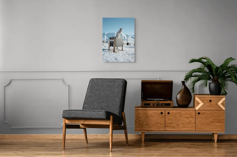 Tablou Canvas, "Câinele veghează ținutul înghețat", Iarnă, Câine, Gheață, Munți, Cer Albastru, Cușcă, Nisip Alb, Libertate, 50 x 70 cm – poza 8