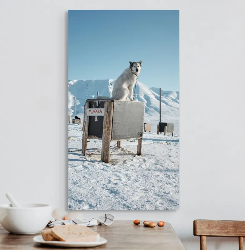 Tablou Canvas, "Câinele veghează ținutul înghețat", Iarnă, Câine, Gheață, Munți, Cer Albastru, Cușcă, Nisip Alb, Libertate, 50 x 90 cm – poza 3