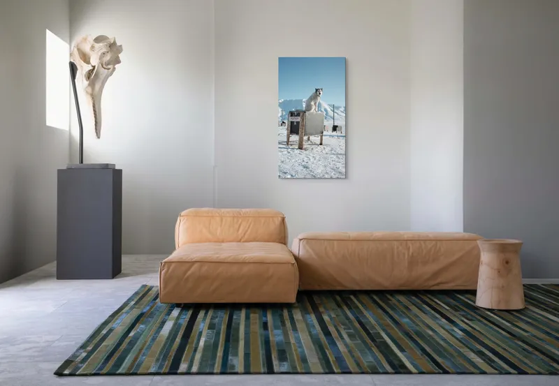 Tablou Canvas, "Câinele veghează ținutul înghețat", Iarnă, Câine, Gheață, Munți, Cer Albastru, Cușcă, Nisip Alb, Libertate, 50 x 90 cm – poza 5