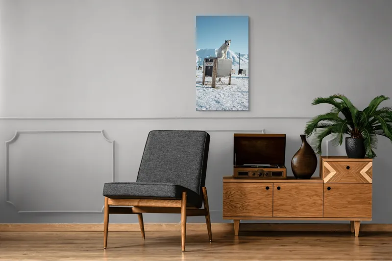 Tablou Canvas, "Câinele veghează ținutul înghețat", Iarnă, Câine, Gheață, Munți, Cer Albastru, Cușcă, Nisip Alb, Libertate, 50 x 90 cm – poza 8