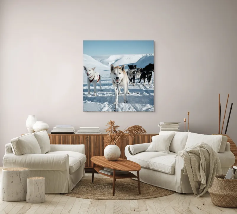 Tablou Canvas, "Câini de sanie în peisaj nordic", Câini, Sled, Zăpadă, Munți, Cer, Albastru, Aventură, Rece, Natură, Arctic., 100 x 100 cm – poza 3