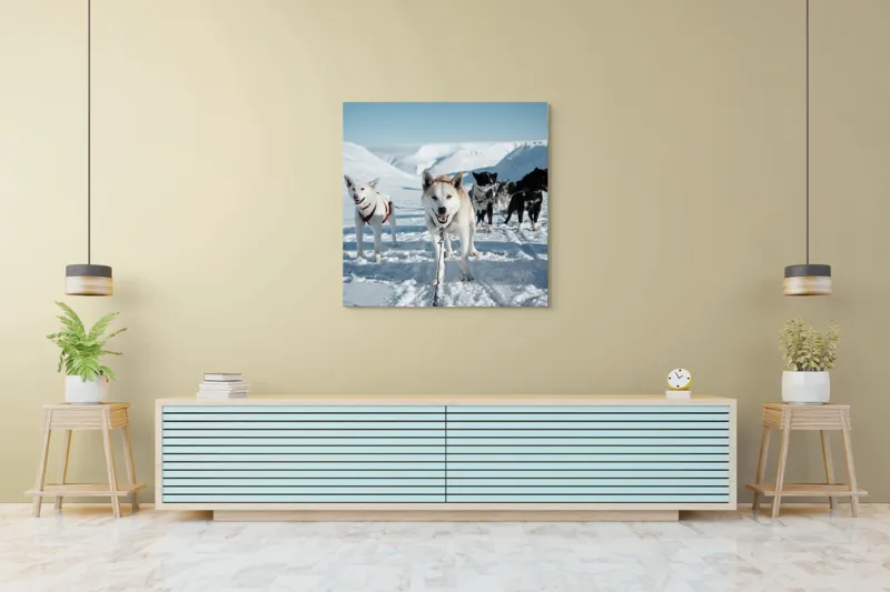 Tablou Canvas, "Câini de sanie în peisaj nordic", Câini, Sled, Zăpadă, Munți, Cer, Albastru, Aventură, Rece, Natură, Arctic., 100 x 100 cm – poza 5