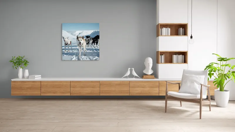 Tablou Canvas, "Câini de sanie în peisaj nordic", Câini, Sled, Zăpadă, Munți, Cer, Albastru, Aventură, Rece, Natură, Arctic., 100 x 100 cm – poza 8