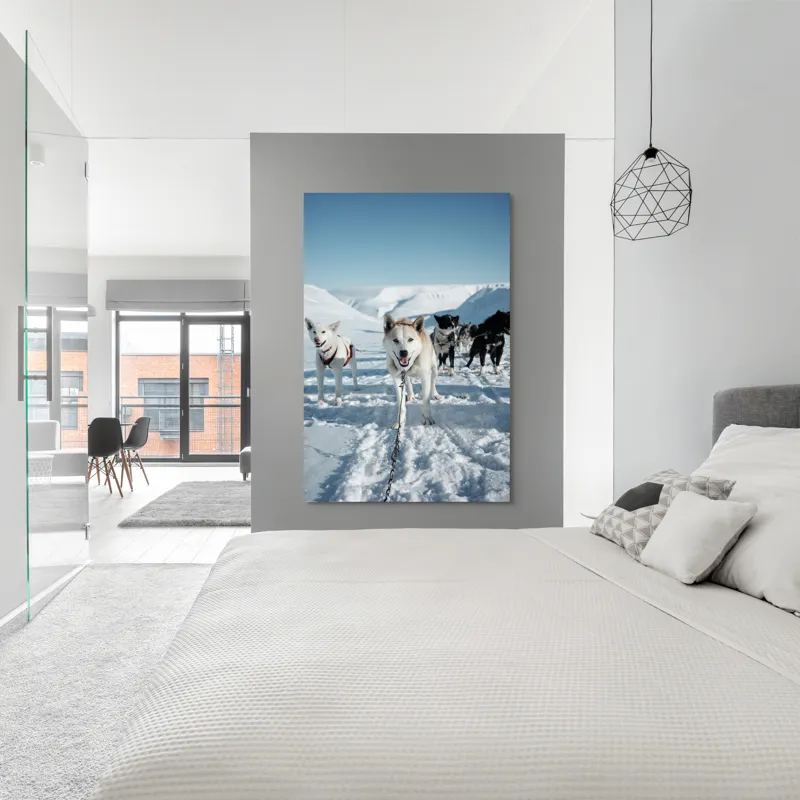 Tablou Canvas, "Câini de sanie în peisaj nordic", Câini, Sled, Zăpadă, Munți, Cer, Albastru, Aventură, Rece, Natură, Arctic., 100 x 150 cm – poza 5