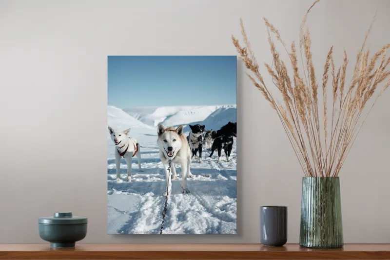 Tablou Canvas, "Câini de sanie în peisaj nordic", Câini, Sled, Zăpadă, Munți, Cer, Albastru, Aventură, Rece, Natură, Arctic., 39 x 54 cm – poza 3