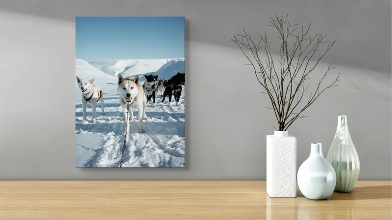 Tablou Canvas, "Câini de sanie în peisaj nordic", Câini, Sled, Zăpadă, Munți, Cer, Albastru, Aventură, Rece, Natură, Arctic., 39 x 54 cm – poza 4