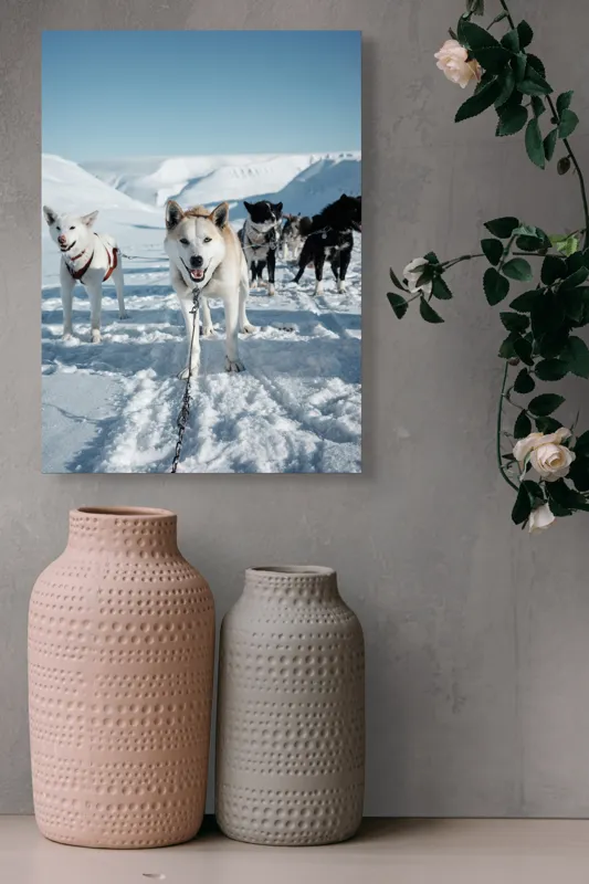 Tablou Canvas, "Câini de sanie în peisaj nordic", Câini, Sled, Zăpadă, Munți, Cer, Albastru, Aventură, Rece, Natură, Arctic., 39 x 54 cm – poza 6