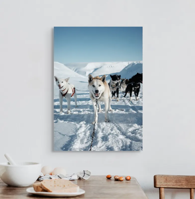 Tablou Canvas, "Câini de sanie în peisaj nordic", Câini, Sled, Zăpadă, Munți, Cer, Albastru, Aventură, Rece, Natură, Arctic., 50 x 70 cm – poza 3