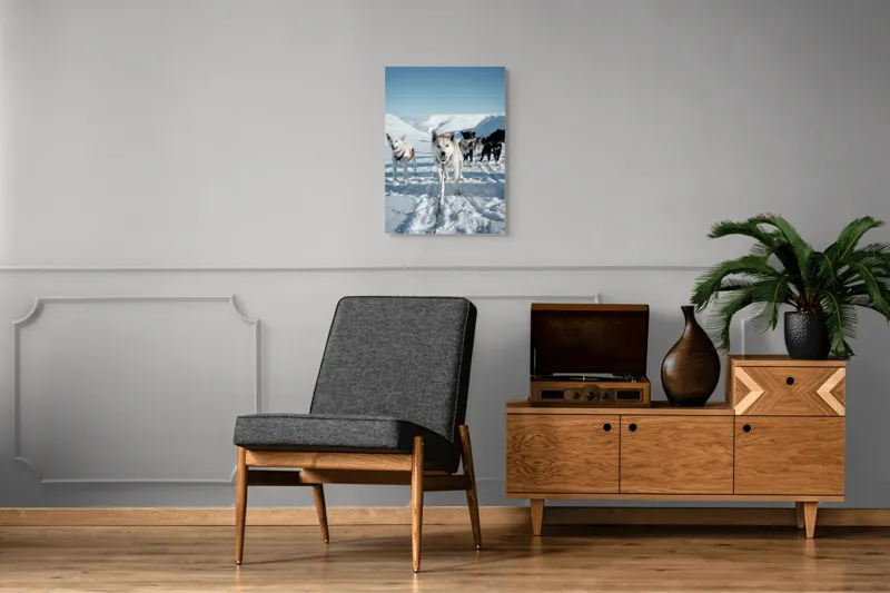Tablou Canvas, "Câini de sanie în peisaj nordic", Câini, Sled, Zăpadă, Munți, Cer, Albastru, Aventură, Rece, Natură, Arctic., 50 x 70 cm – poza 8