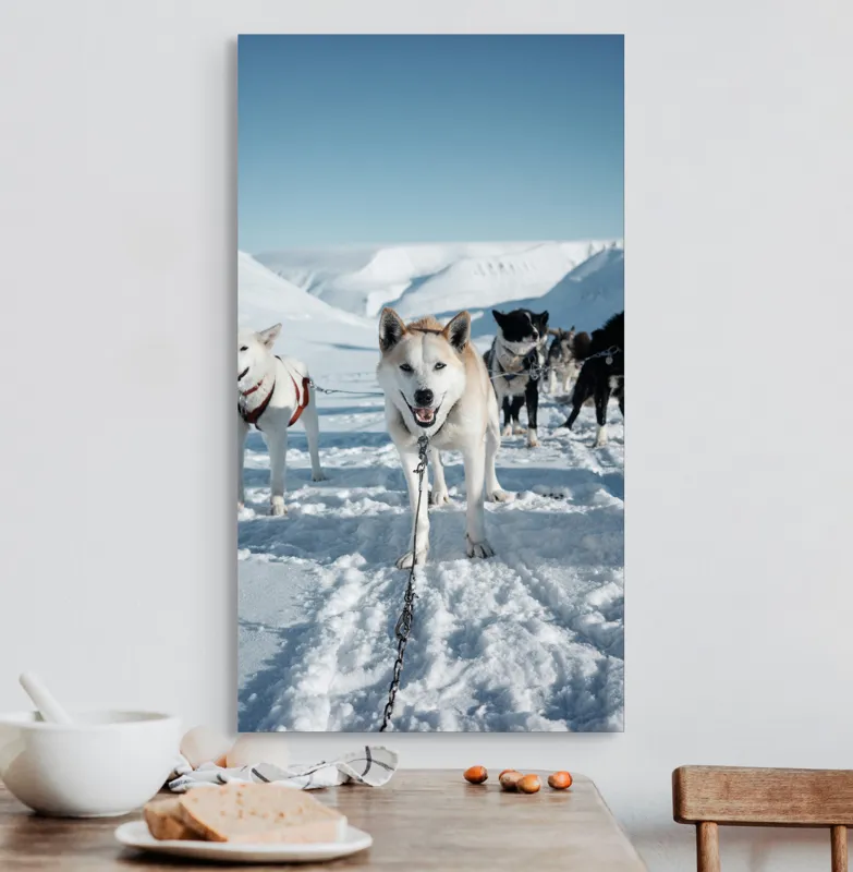 Tablou Canvas, "Câini de sanie în peisaj nordic", Câini, Sled, Zăpadă, Munți, Cer, Albastru, Aventură, Rece, Natură, Arctic., 50 x 90 cm – poza 3