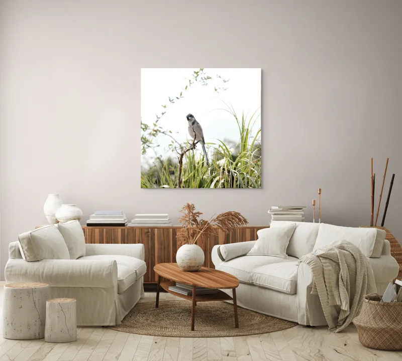 Tablou Canvas, "Pasăre albastră pe ramură uscată", Pasăre, Ramură, Verdeață, Cer, Natură, Aripi, Delicatețe., 100 x 100 cm – poza 3