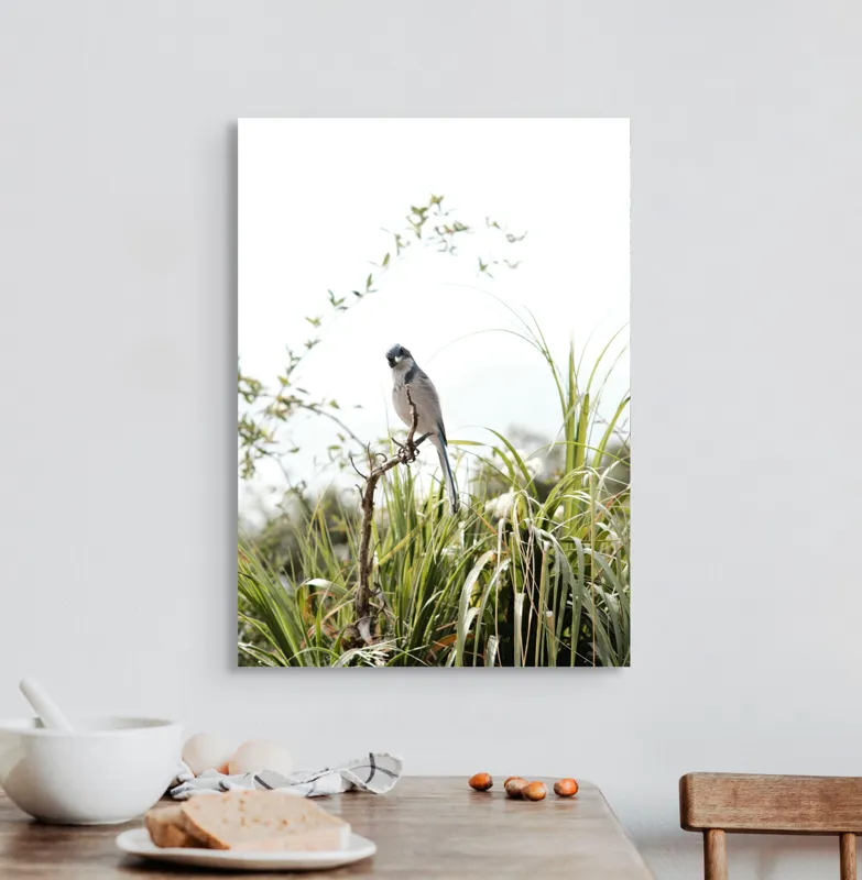 Tablou Canvas, "Pasăre albastră pe ramură uscată", Pasăre, Ramură, Verdeață, Cer, Natură, Aripi, Delicatețe., 50 x 70 cm – poza 3