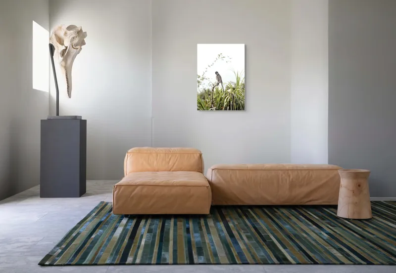 Tablou Canvas, "Pasăre albastră pe ramură uscată", Pasăre, Ramură, Verdeață, Cer, Natură, Aripi, Delicatețe., 50 x 70 cm – poza 7