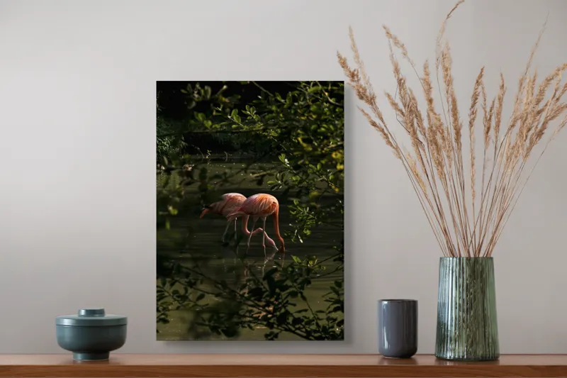 Tablou Canvas, "Flamingo roz în lumina dimineții", Flamingo, Reflecție, Apă, Frunze, Culoare, Natură, Lumină, Serenitate, 39 x 54 cm – poza 3