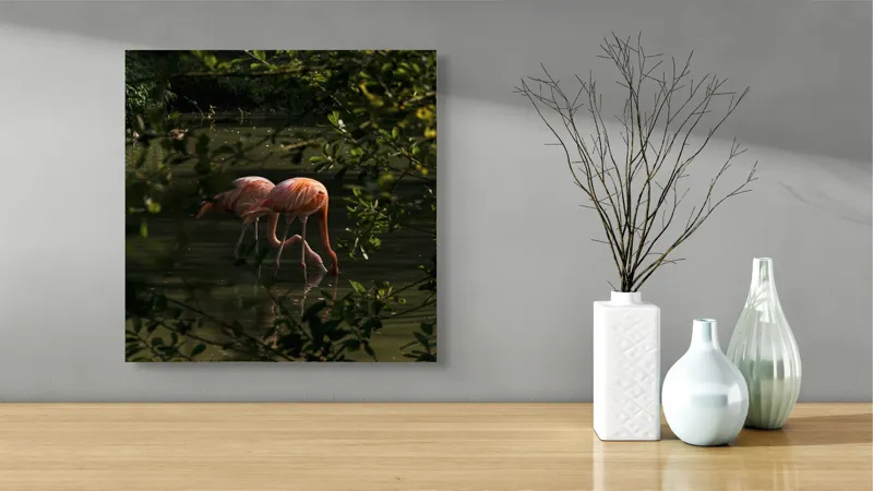 Tablou Canvas, "Flamingo roz în lumina dimineții", Flamingo, Reflecție, Apă, Frunze, Culoare, Natură, Lumină, Serenitate, 50 x 50 cm – poza 3