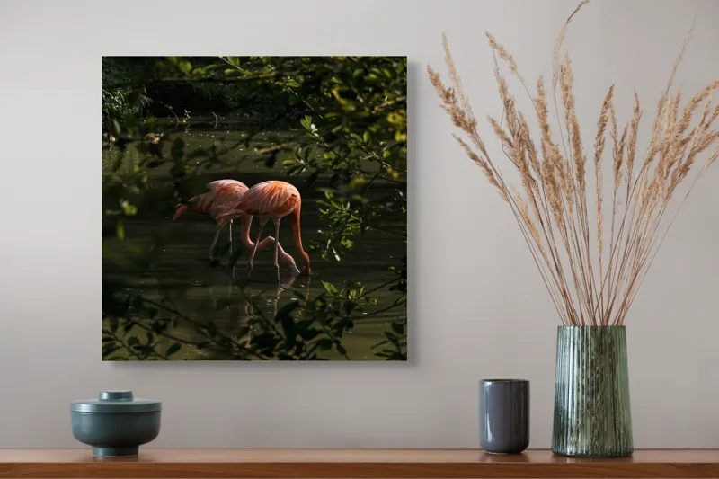 Tablou Canvas, "Flamingo roz în lumina dimineții", Flamingo, Reflecție, Apă, Frunze, Culoare, Natură, Lumină, Serenitate, 50 x 50 cm – poza 4
