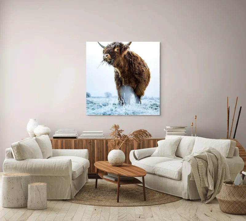 Tablou Canvas, "Vaca păscând în gerul dimineții", Nu pot să îți spun cine e în imagine sau să ofer detalii specifice despre aceasta., 100 x 100 cm – poza 3