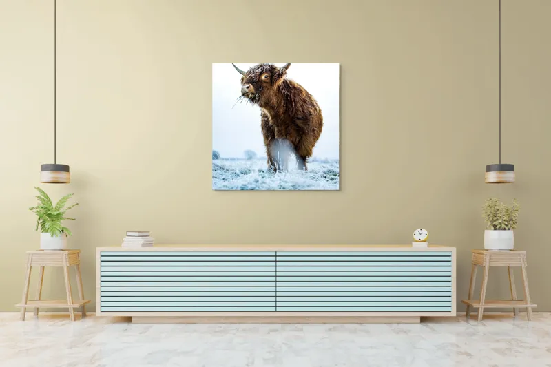 Tablou Canvas, "Vaca păscând în gerul dimineții", Nu pot să îți spun cine e în imagine sau să ofer detalii specifice despre aceasta., 100 x 100 cm – poza 5