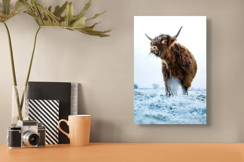 Tablou Canvas, "Vaca păscând în gerul dimineții", 26 x 39 cm – poza 3