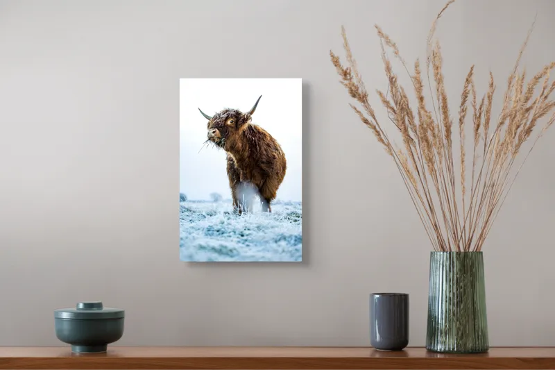 Tablou Canvas, "Vaca păscând în gerul dimineții", 26 x 39 cm – poza 5