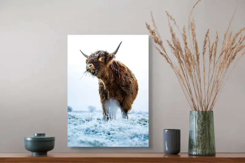Tablou Canvas, "Vaca păscând în gerul dimineții", Nu pot să îți spun cine e în imagine sau să ofer detalii specifice despre aceasta., 39 x 54 cm – poza 3