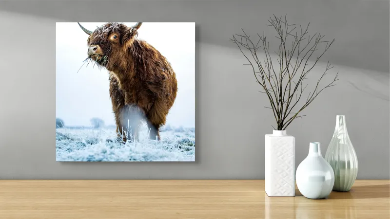 Tablou Canvas, "Vaca păscând în gerul dimineții", Nu pot să îți spun cine e în imagine sau să ofer detalii specifice despre aceasta., 50 x 50 cm – poza 3
