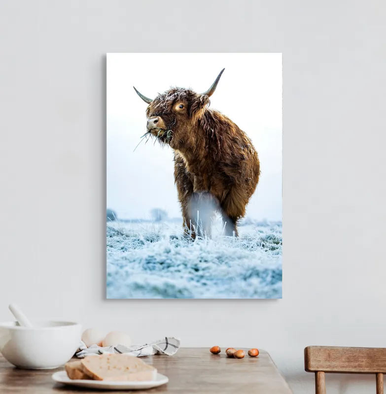 Tablou Canvas, "Vaca păscând în gerul dimineții", Nu pot să îți spun cine e în imagine sau să ofer detalii specifice despre aceasta., 50 x 70 cm – poza 3