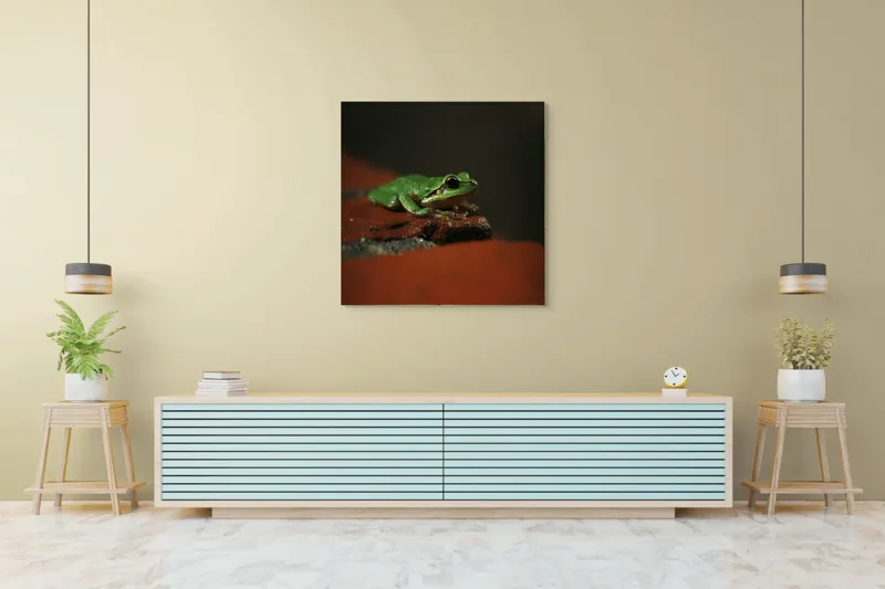 Tablou Canvas, "Broască singuratică pe piatră umedă", Verde, Mică, Broască, Apăsat, Ochi, Ascuns, Umectat, Textură., 100 x 100 cm – poza 5