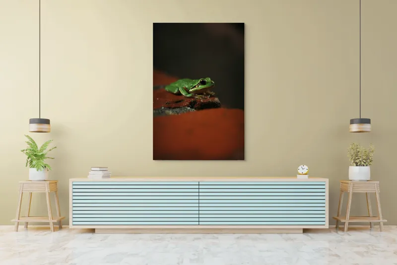 Tablou Canvas, "Broască singuratică pe piatră umedă", Verde, Mică, Broască, Apăsat, Ochi, Ascuns, Umectat, Textură., 100 x 150 cm – poza 4