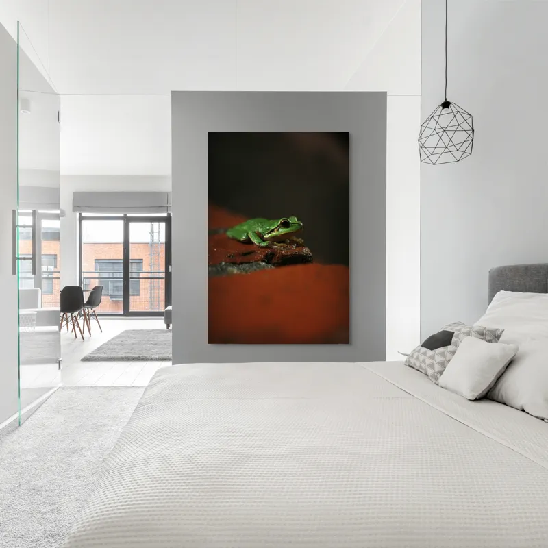 Tablou Canvas, "Broască singuratică pe piatră umedă", Verde, Mică, Broască, Apăsat, Ochi, Ascuns, Umectat, Textură., 100 x 150 cm – poza 5