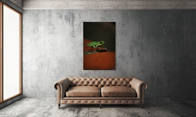 Tablou Canvas, "Broască singuratică pe piatră umedă", Verde, Mică, Broască, Apăsat, Ochi, Ascuns, Umectat, Textură., 100 x 150 cm – poza 6