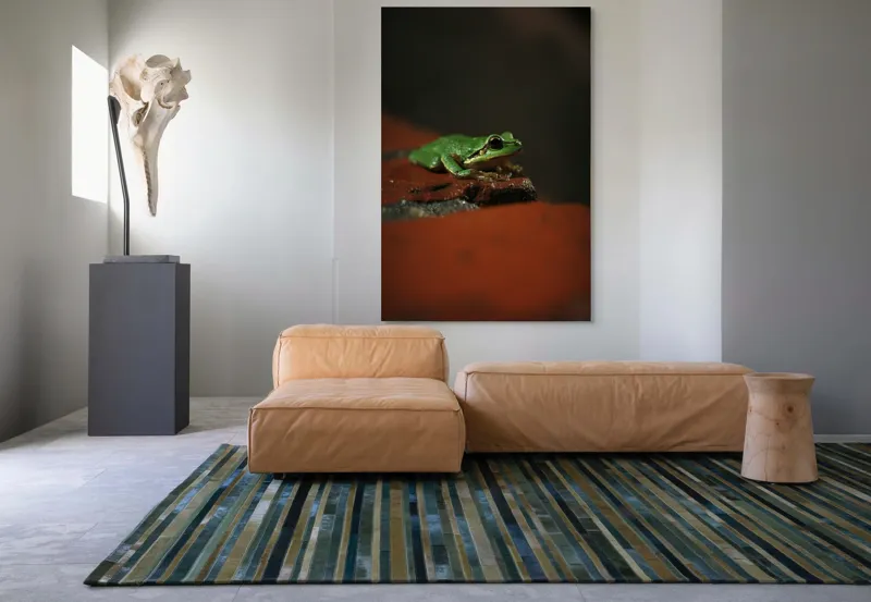 Tablou Canvas, "Broască singuratică pe piatră umedă", Verde, Mică, Broască, Apăsat, Ochi, Ascuns, Umectat, Textură., 100 x 150 cm – poza 7