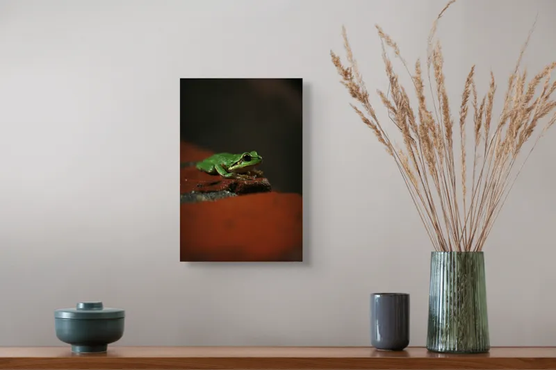 Tablou Canvas, "Broască singuratică pe piatră umedă", Verde, Mică, Broască, Apăsat, Ochi, Ascuns, Umectat, Textură., 26 x 39 cm – poza 5
