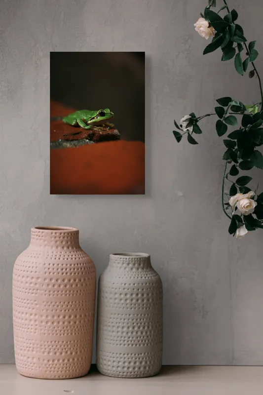 Tablou Canvas, "Broască singuratică pe piatră umedă", Verde, Mică, Broască, Apăsat, Ochi, Ascuns, Umectat, Textură., 26 x 39 cm – poza 6