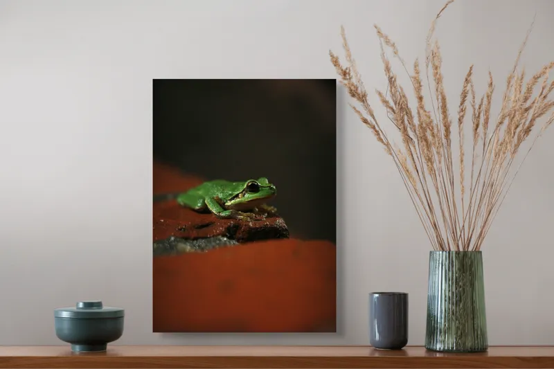 Tablou Canvas, "Broască singuratică pe piatră umedă", Verde, Mică, Broască, Apăsat, Ochi, Ascuns, Umectat, Textură., 39 x 54 cm – poza 3